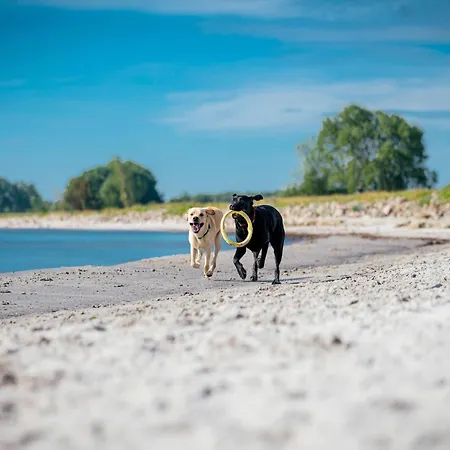 Feriehus In Mit Meeresstrand *