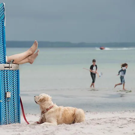 In Mit Meeresstrand Feriehus Damp